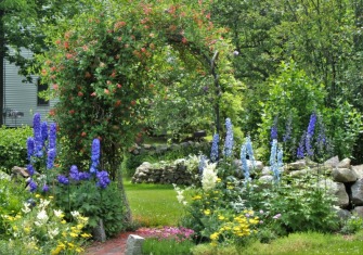 Lovely Garden